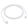 Kabel APPLE Kabel USB-C - Lightning 1m